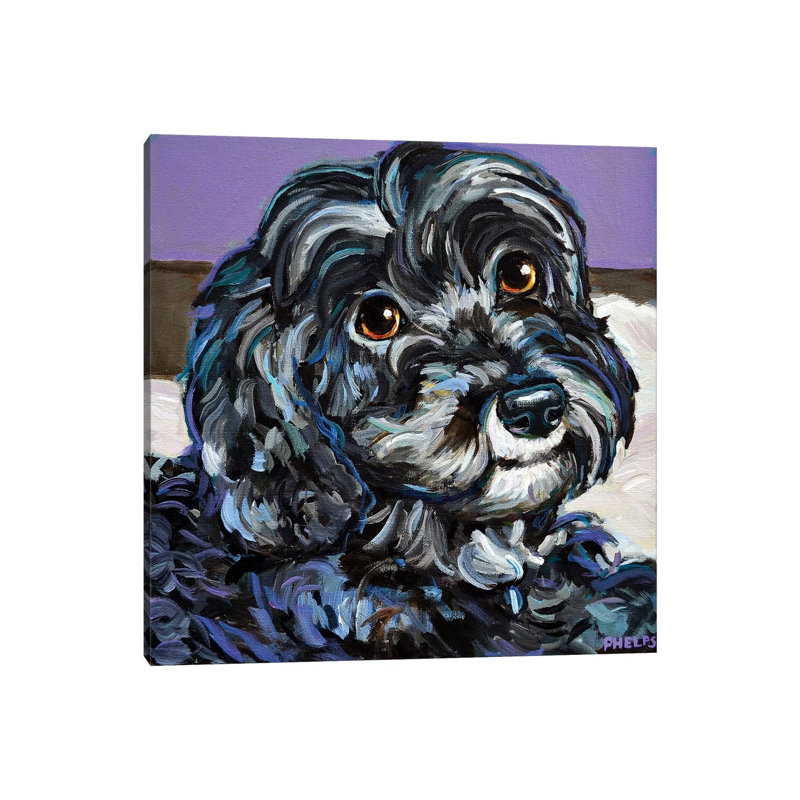 Cozy Black Schnoodle by Robert Phelps - Wrapped Canvas Print, 30.48 cm H x 30.48 cm W