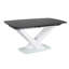 Melany Extendable Metal Base Dining Table