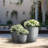 Lughan Handmade Pot Planter-589581529