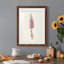 Mauve Garden Flowers I - peinture encadrée-128726285-128726287
