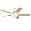 Erikson LED Ceiling Fan-1286635634-1286635632