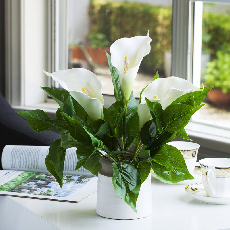 Arrangement floral de grands lys en pot