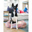 Tapis pour lit de qualité supérieure Rugs.com-100613957-110734654