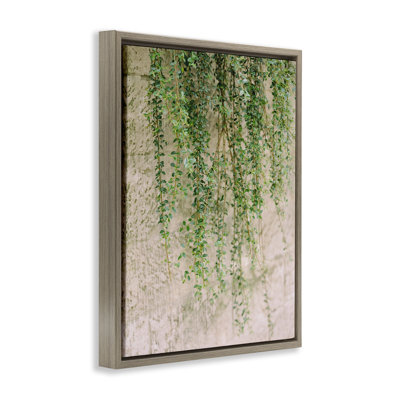 «Hanging Ivy Vines», art mural encadré par Justine Milton