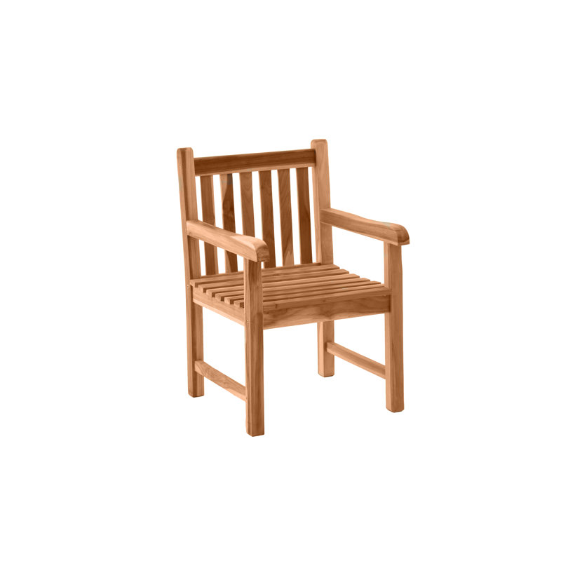 Astin Patio Dining Armchair with Cushion