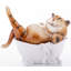 Animals Figurines & Sculptures