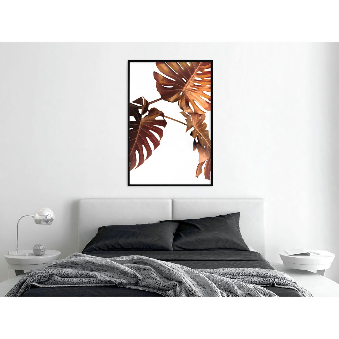 Gerahmtes Poster Copper Monstera