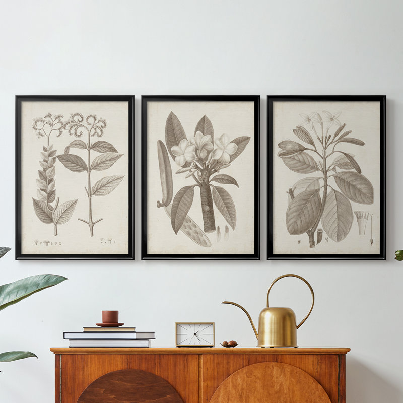 Antique sépia botanicals VI - Toile tendue avec châssis sur mesure - 3 pièces, Noir, H 19 po x l 27 po