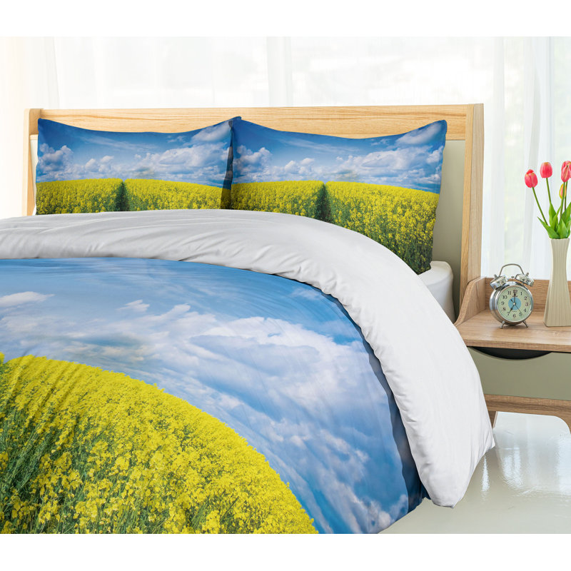 No Duvet Cover, Queen Duvet Cover + 2 Standard Shams