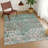 Machine Washable Indoor/Outdoor Chantille ACN2304 Casual Rug-716064104