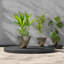 Ensemble de pots de fleurs empilables, 3 tailles Mgo, style gris moderne pour la maison de patio