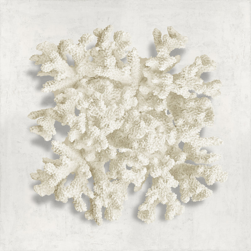 Coral II by Caroline Kelly - Wrapped Canvas Print, 30cm H x 30cm W x 3.8cm D