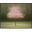Pretty in Pink by Laura Zimmerman - Framed Wall Art-909087131-909087120