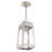 Antionetta Outdoor Hanging Lantern-448062608