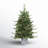 3' Lighted Pine Christmas Tree