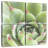 Harnek Garden Succulents III