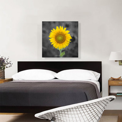 " Yellow Sunflower In Farm Field "