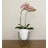 Clent Pot Planter-509738430-453852780