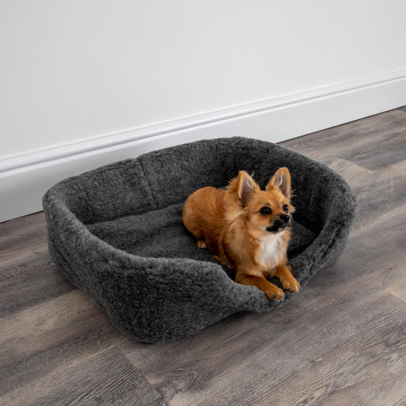 Azaiah Fleece Pet Bed, 10cm H x 60cm W x 40cm D, Grey