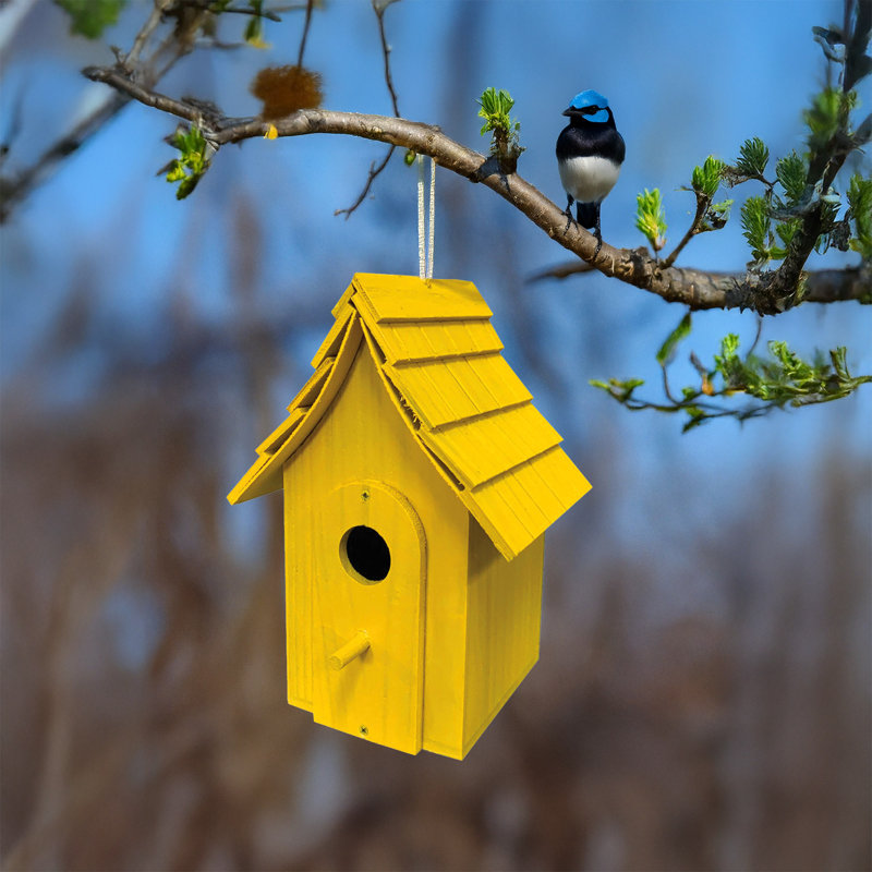Cabane à oiseaux jaune 9 po Sunburst, Jaune