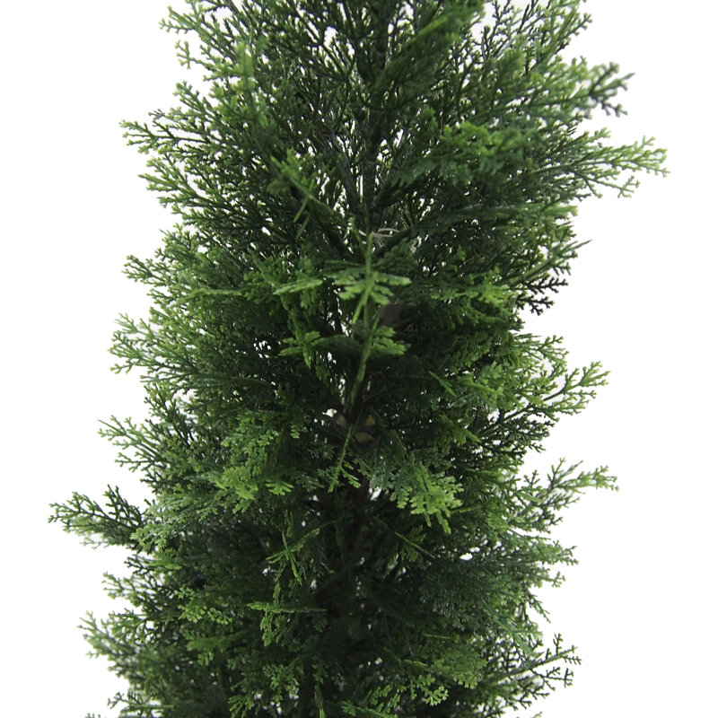 Topiaire de cèdre Yarbro en pot, H 96 po x l 14 po x P 14 po