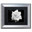 « gardenia », reproduction de photo sur toile-22947445-25775998-25775999