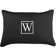 Kerrell Embroidered Sunbrella® Indoor/Outdoor Throw Pillow