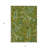 3' X 5' Green Paisley Washable Non Skid Indoor Outdoor Area Rug