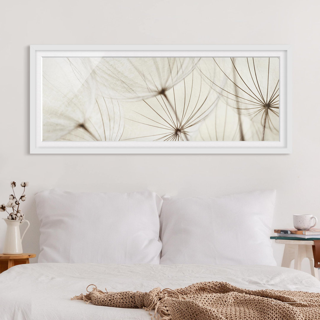 Gerahmtes Poster Gentle Grasses