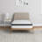 Wayfair Sleep 8" Medium Euro Top Innerspring Mattress-1780934713