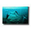 «Sleeping Mermaid» par Ata Alishahi-5445172