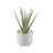 Faux Foliage Plant in Pot-1469782441