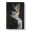 Owl In Abstract - Wrapped Canvas-55308389