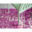 Tapis oriental mauve Annalotta-1810758745