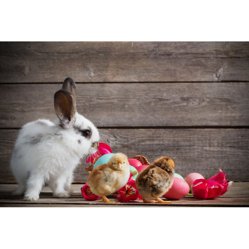 Chicken And Rabbit With Easter Eggs On Wooden Background by Maya23K - Wrapped Canvas Print, 20cm H x 30cm W x 3.8cm D