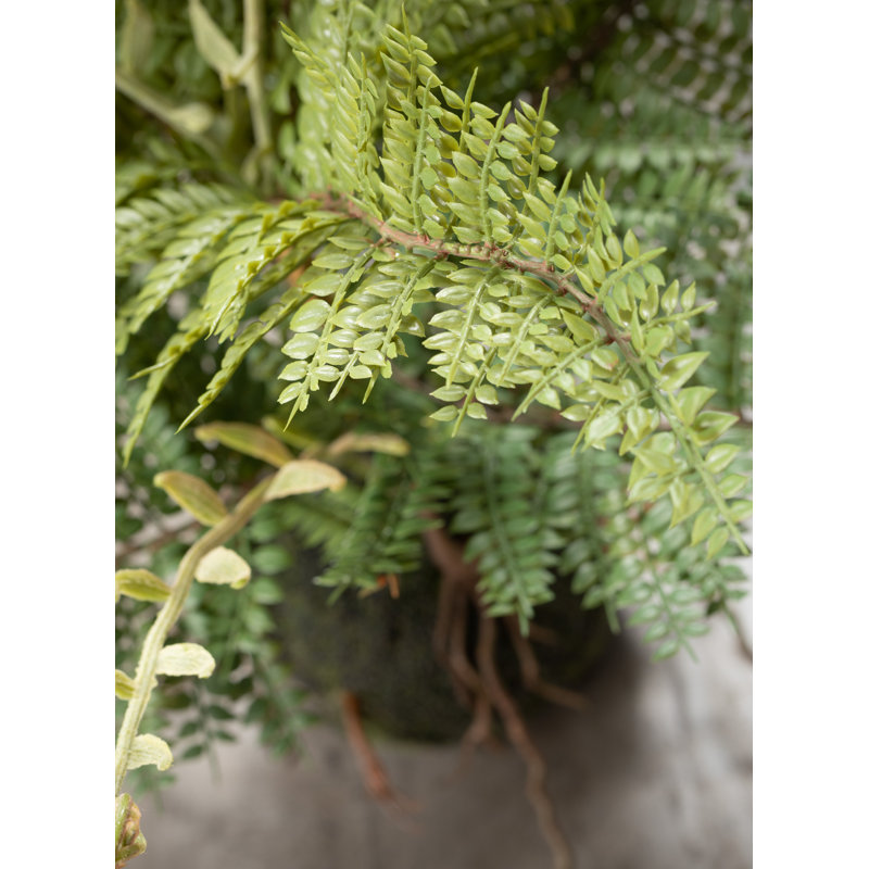 11'' Faux Fern Plant in Freestanding