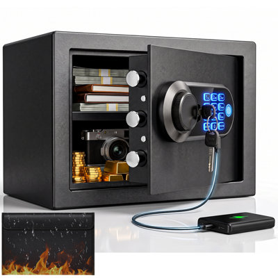 Safe Box Biometric and Electronic