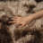 Shag Area Rugs for Living Room, 5x7 ft Soft Fluffy Rugs for Bedroom, Nursery, Kids Room Home Decor, Tie-Dyed Brown-1104144432