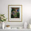 Thornton's Botanicals Giclee Print by Robert John Thornton