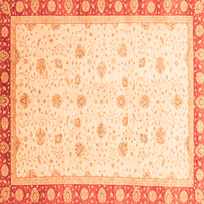 Glimp Oriental Indoor Rug, Square 5'
