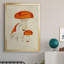 Mushroom Variétés, reproduction d'art sur toile-282466535-282466530