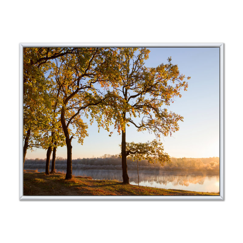 Décoration murale en toile Oak Grove par The River, H 24 po x l 36 po x P 1 po, Toile encadrée flottée blanche