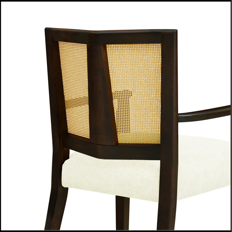 Ensemble de 2 chaises de salle à manger élégantes en rotin avec accoudoirs à dossier, confortables et durables pour les intérieurs modernes