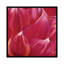 «Close Up», impression sur toile-29483454-73651718-73651719