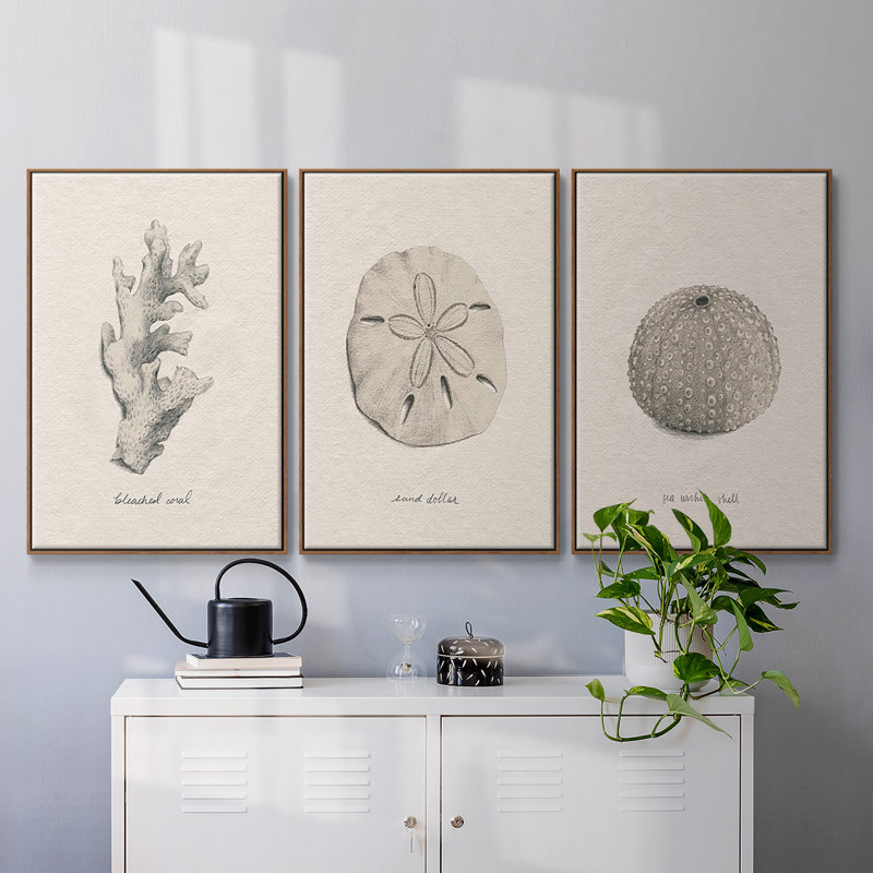 Shore Treasure Study I 3 pièces, Noyer, H 27 po x l 54 po