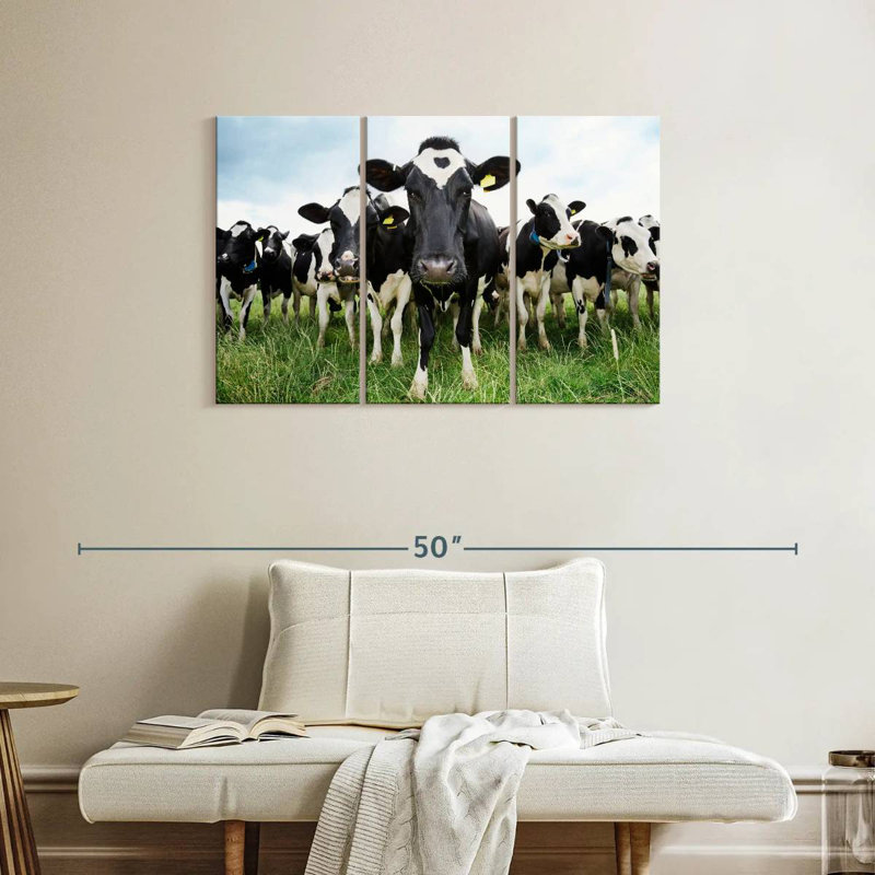Brampt Holstein, H 24 po x l 38 po