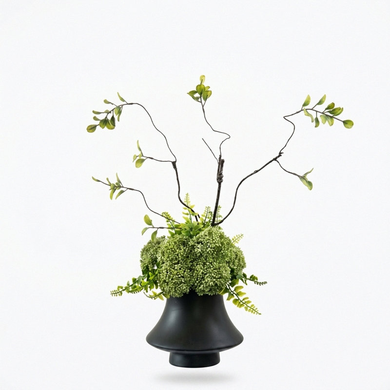 Arrangement organique moderne dans un pot