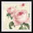 Cadre noir n'est pas disponible