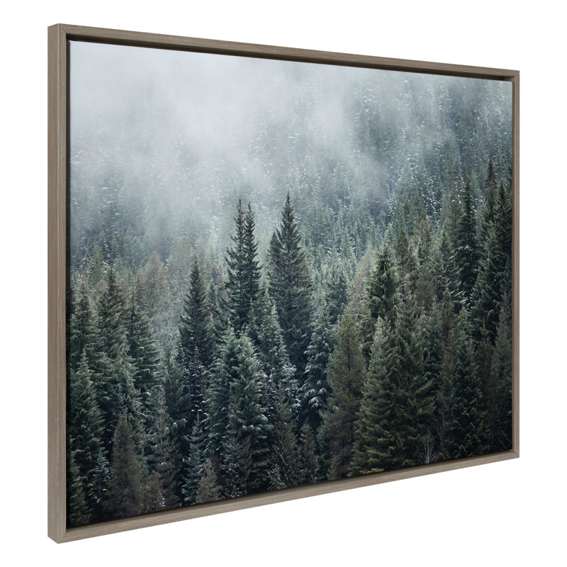 Evergreen Dream 2 by Emiko and Mark Franzen F2Images Framed Canvas Wall Art Print