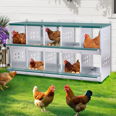 Boîte de nidification en métal à 10 baies, fixation murale pour poules et canards, collection Easy Egg, équipement de cage en acier galvanisé ventilé